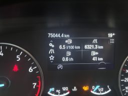 Ford Ecosport 1.0 Ecoboost 100cv Trend lleno