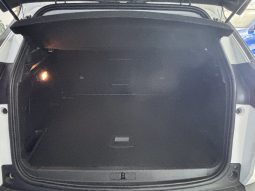Peugeot 3008 1.5 HDCI ACTIVE PACK 130cv lleno