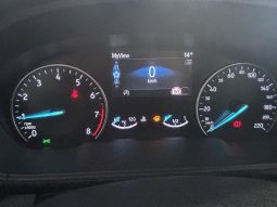 Ford Ecosport 1.0 Ecoboost 125cv ACTIVE lleno